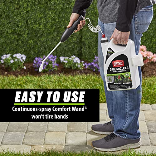Ortho GroundClear Weed & Grass Killer ReadytoUse Grass Weed Killer