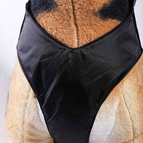 PETCEE (Please Pay Attention to The Size Dog Jacket Waterproof Fleece Lined Reflective Jacket Dog Loft Jacket Dog Climate Changer Fleece Jacket a Tape Measure (Black L)