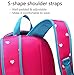 BLUEFAIRY Back to School Backpacks for Girls Kids Bagpack Elementary Teen Girls School bag Sturdy Mochilas Escolares Para Niñas 5-8 Years 17 Inch（Rose