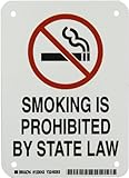 Brady 123043 Aluminum No Smoking Sign, 7" X