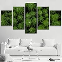 5 Panel Canvas Wall Art Green Leaves Pictures Modern Artwork for Home Decorations Ready to Hang - 60