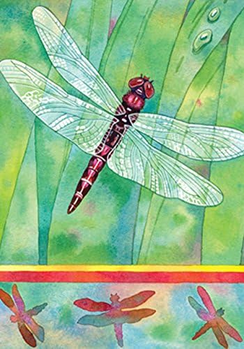 Toland Home Garden Dragonfly 28 x 40-Inch Decorative USA-Produced House Flag