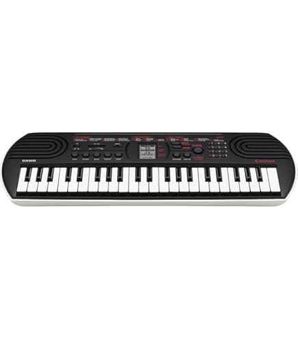 Amazon.com: Casio WK-7600 76 Key Piano Style Portable Keyboard