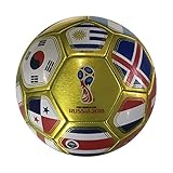 Icon Sports FIFA 2018 World Cup Russia Official Souvenir Size 5 Soccer Ball