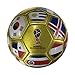 Icon Sports FIFA 2018 World Cup Russia Official Souvenir Size 5 Soccer Ball