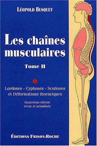 Les  chaînes musculaires