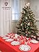 Galashield Christmas Plates Disposable Party Set 102 Pcs Includes Napkins Cups and Tablecloth | Christmas Disposable Dinnerware Set | Supplies for 20 Guests