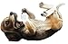 Ebros Lifelike Purebreed Pedigree Canine Adorable Tri Colored Beagle Dog Wine Bottle Holder Figurine Statue As Kitchen Wine Cellar Centerpiece Decor Storage Organizer (Beagle)