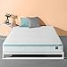Zinus 8 Inch Mint Green Memory Foam Hybrid Spring Mattress, Twin
