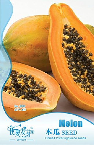 2018 Hot Sale 1 Original Pack, 8 Seeds/Pack, Fresh Organic Pawpaw Seeds Giant Red Lady Exotic Carica Papaya #NF137