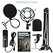 ZAFFIRO USB Microphone Kit Plug & Play USB Computer Mic Cardioid Podcast Condenser Microphone Kit, PC Streaming Mic are Suitable for YouTube, Streaming, Recording Music, Live Streaming and Gaming (2)