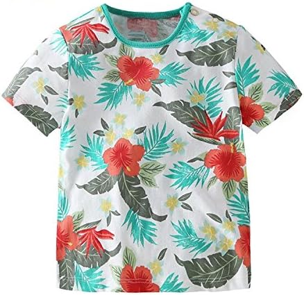 Little Boys Kids Short Sleeve Airplane Cotton Cartoon T-Shirts &amp; Tops (3-4Years, W&amp;R)