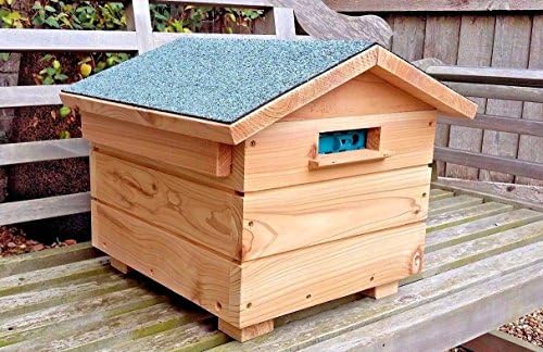 Dragonfli Wooden Bummblebee Hive with Live Colony of British Bumblebees
