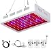 Roleadro Grow Light, 1000W LED Grow Light Full Spectrum Galaxyhydro Series Plant Light for Indoor Plants with UV&IR for Greenhouse, Hydroponics, Seedlings, Veg and Flower primary