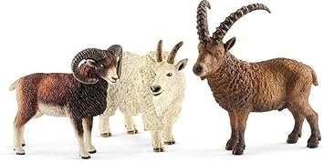 royal canin neutered male cat food