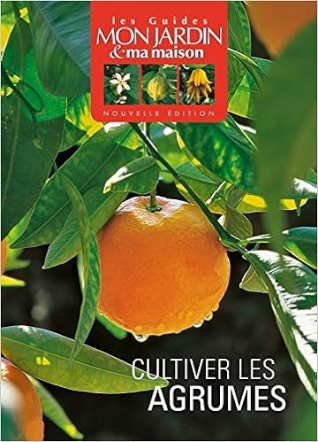 Amazon Fr Cultiver Les Agrumes Collectif Livres Amazon Fr Cultiver Les Agrumes Collectif Livres
