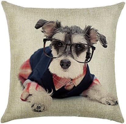 DECORLUTION Miniature Schnauzer in Blue Shirt Pattern 18x18 Inch Cotton Linen Square Throw Cushion Cover Pillow Case for Home Decorative Pillowcase Pillow Covers Cases Standard Size