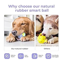 [3 Interactive Modes] Cheerble Intelligent
