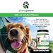 Probiotics for Dogs Digestive Health - Dog Probiotics and Digestive Enzymes - Allergy Relief for Dogs - Probiotic for Dogs Gut Health - Puppy Probiotic Tummy Treats - 120 Dog Probiotic Chews