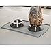 PetFusion Premium Brushed Anti-Tip Dog & Cat Bowls (Set of 2 Bowls). Food Grade Stainless Steel. Bonded Silicone Ring for Traction, 14 oz, Metallic