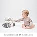BORITAR Baby Blanket Soft Minky with Double Layer Dotted Backing, Lovely Grey Bear Printed 30 x 40 Inch, Receiving Blankets