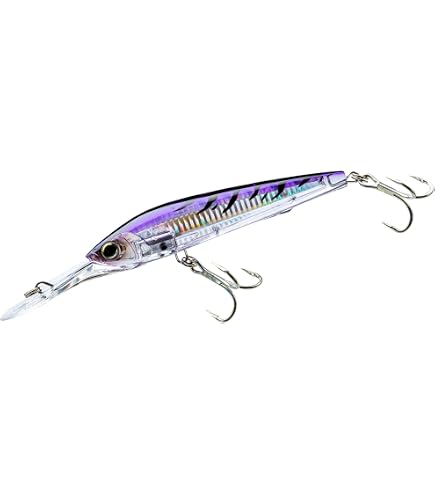 Amazon.com: Yo-Zuri R1165-CPBN 3D Magnum Deep Diver Floating Lure