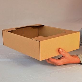 100枚セット トマト ダンボール箱 出荷箱 段ボール箱 (1.5k〜2k用) 青果物用 トマト専用 野菜