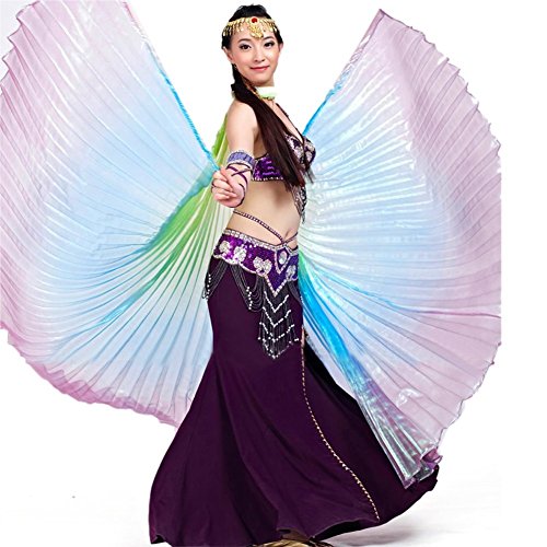 BellyLady Belly Dance Costume Isis Wings, Professional Dance Wings with Sticks