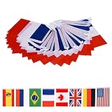 66 Feet French String Flag,60Pcs National Country World Flags Banner String