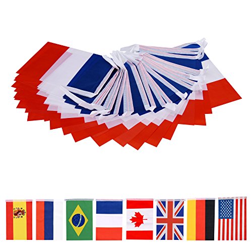 66 Feet French String Flag,60Pcs National Country World Flags Banner String