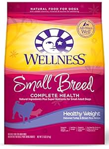Amazon.com: Wellness Complete Health Natural Dry Small