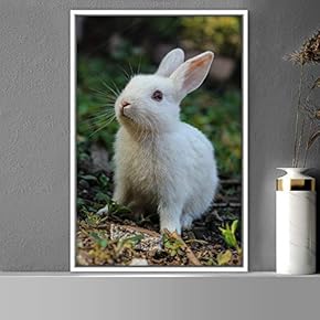 signwin Framed Canvas Wall Art Bunny Animals Bedroom...