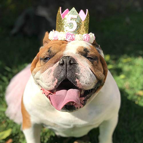 Suzzam 1 Birthday Hat, First Birthday Crown Baby Girl Princess Dog Birthday Hat Pets Reusable Birthday Party Hats Cat Kitten Headband Hats 1-5 Figures - Thumbnail 6