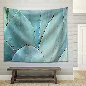 Sharp Pointed Agave Plant Leaves Bunched Together. - Fabric Wall Tapestry Home Decor - 51x60 inches