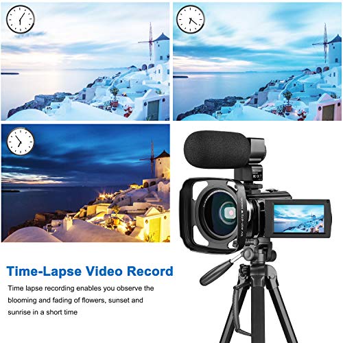 5 Camcorder+Rosdeca+External+Microphone+Batteries