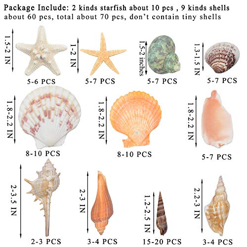 1 Seashells+Starfish+Decorations+FishTank+Supplies