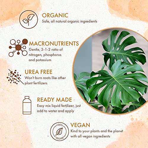 Organic Monstera Plant Food Liquid Fertilizer for Indoor and Outdoor