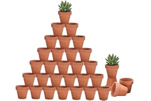 Riseuvo 32pcs 2" Small Mini Terracotta & Clay Pot Planter - Cactus Flower Nursery Terra Cotta Pots with Drainage, Perfect for Indoor/Outdoor Plants, Crafts