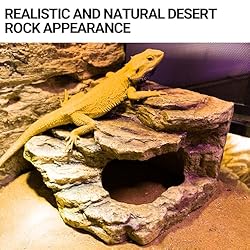 Reptile Hideout Cave Climbing Ramp Basking Platform