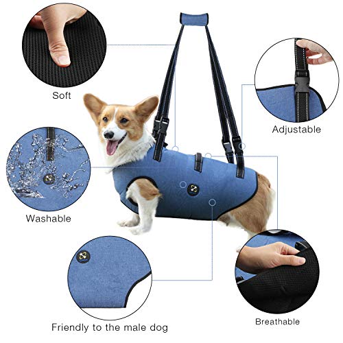 Coodeo Dog Lift Harness, Pet Support & Rehabilitation Sling Lift
