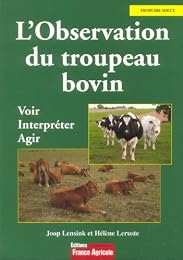 L' observation du troupeau bovin