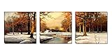 Mon Art - Scenery Beautiful Trees river Snow Portray Modern Canvas Art Wall Decor Realistic Paintings Abstract Paintings Occident Style on Canvas Stretched and Framed Ready to Hang