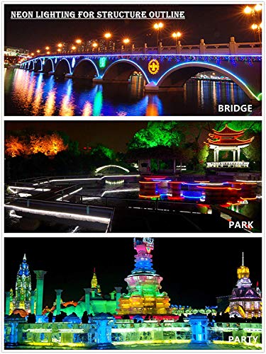 LED NEON Light, IEKOVTM AC 110-120V Flexible LED Neon Strip Lights, 120 LEDs/M, Dimmable, Waterproof 2835 SMD LED Rope Light + Remote Controller for Home Decoration (65.6ft/20m, Blue)