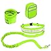 Dog Leash, PYRUS Hands Free Dog Leash Reflective Traction Kit Waist Leashes Perfect for Hands Free Walking - Premium Reflective Dog Leash for Running Jogging or Walking (Green)