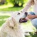 RADIUS Canine Oral Care Kit, Includes 1 Pet Toothbrush, 1 Critter Case, and 0.8 oz Canine Pet Toothpaste, Firm Bristle & Non Toxic Toothpaste for Dogs