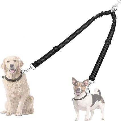 double leash lock off