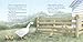 Wilbur's Adventure: A Charlotte's Web Picture Book