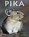 Pika: Life in the Rocks