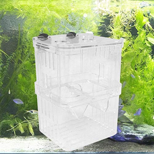 ttnight Acrylic Fish Tank Breeding Box Aquarium Double Guppies Hatching Incubator
