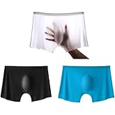 besurJameso Men's Underwear 3D Stereo One-Piece Men's Ice Silk Boxer Breathable Seamless Sexy See-Through Transparent Briefs